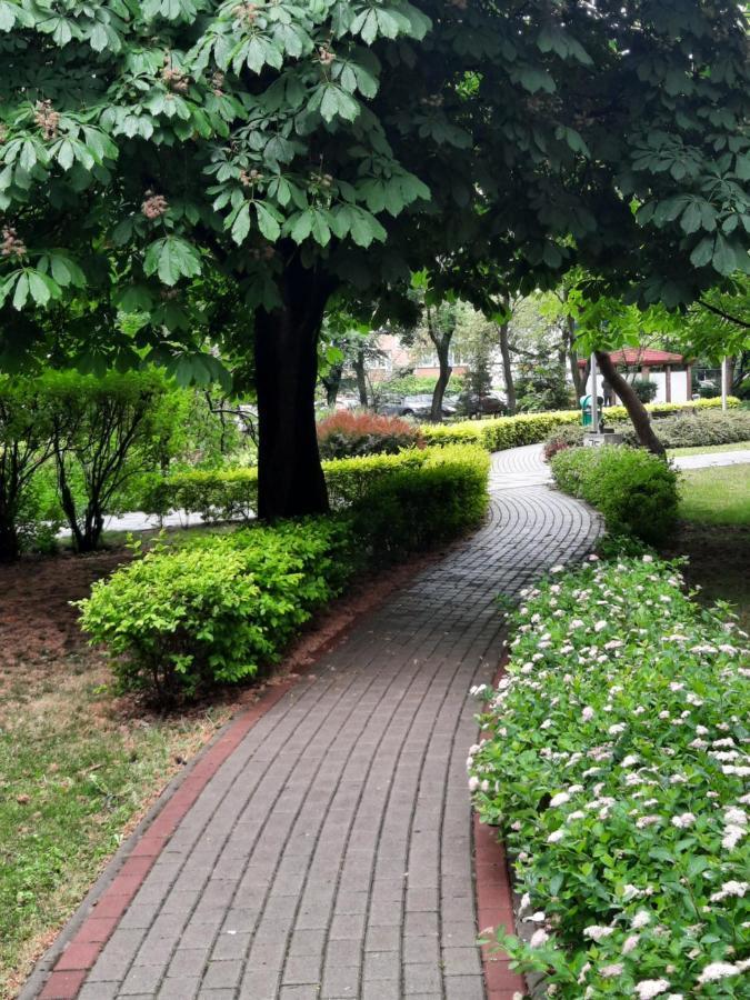 Apartament W Centrum Wroclawia公寓 客房 照片